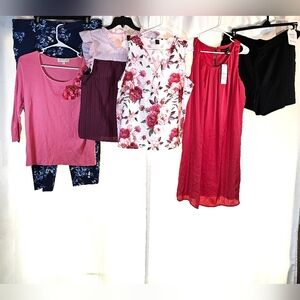 Mystery Box XL Dana Buchman